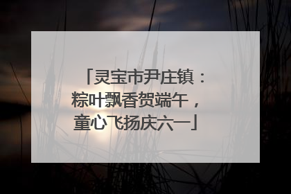 灵宝市尹庄镇：粽叶飘香贺端午，童心飞扬庆六一