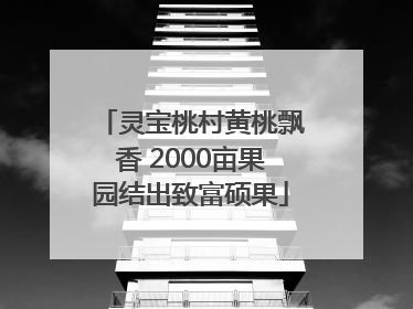 灵宝桃村黄桃飘香 2000亩果园结出致富硕果