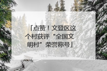 点赞！文登区这个村获评“全国文明村”荣誉称号