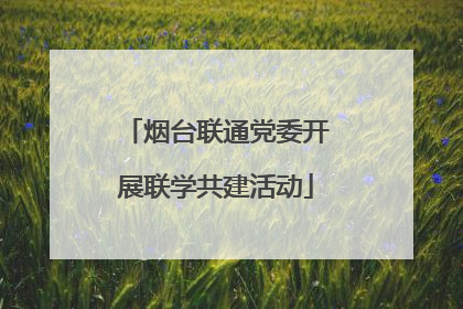 烟台联通党委开展联学共建活动