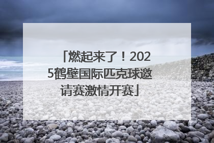 燃起来了！2025鹤壁国际匹克球邀请赛激情开赛