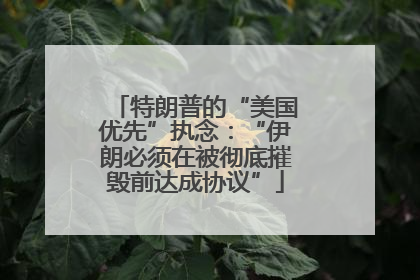 特朗普的“美国优先”执念：“伊朗必须在被彻底摧毁前达成协议”