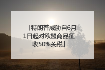 特朗普威胁自6月1日起对欧盟商品征收50%关税