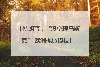 特朗普：“没空理马斯克” 欧洲抛橄榄枝