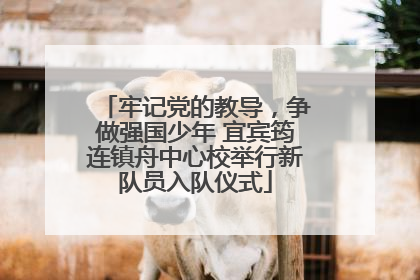 牢记党的教导，争做强国少年 宜宾筠连镇舟中心校举行新队员入队仪式