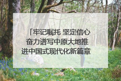 牢记嘱托 坚定信心 奋力谱写中原大地推进中国式现代化新篇章（六）河南绘就“行走河南·读懂中国”新画卷丨牢记嘱托谱新篇
