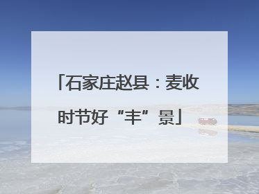 石家庄赵县：麦收时节好“丰”景