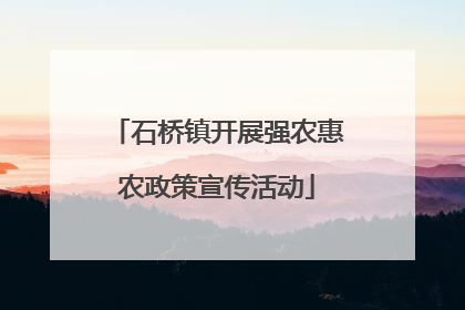 石桥镇开展强农惠农政策宣传活动