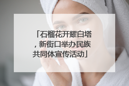 石榴花开耀白塔，新街口举办民族共同体宣传活动