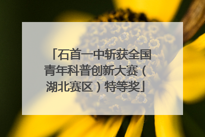 石首一中斩获全国青年科普创新大赛（湖北赛区）特等奖