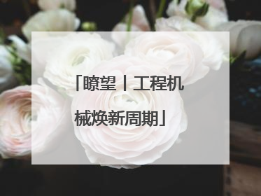 瞭望丨工程机械焕新周期
