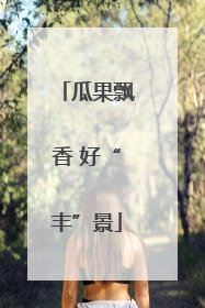 瓜果飘香 好“丰”景