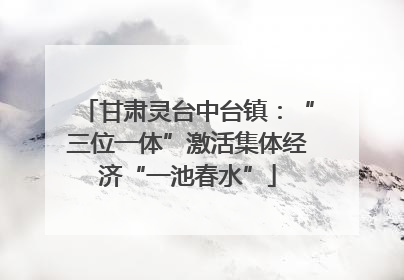 甘肃灵台中台镇：“三位一体”激活集体经济“一池春水”