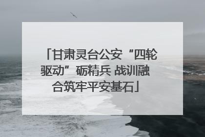 甘肃灵台公安“四轮驱动”砺精兵 战训融合筑牢平安基石