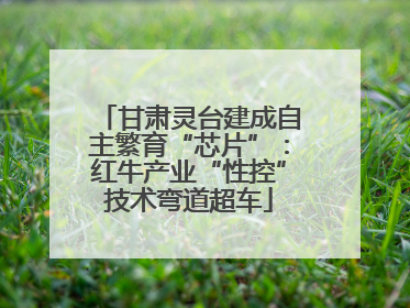 甘肃灵台建成自主繁育“芯片”：红牛产业“性控”技术弯道超车