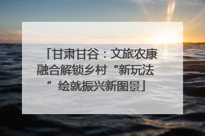 甘肃甘谷：文旅农康融合解锁乡村“新玩法”绘就振兴新图景