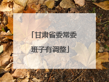 甘肃省委常委班子有调整