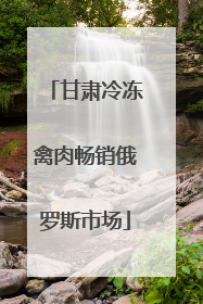 甘肃冷冻禽肉畅销俄罗斯市场