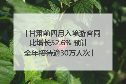 甘肃前四月入境游客同比增长52.6% 预计全年接待逾30万人次