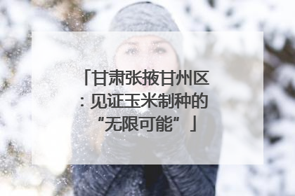 甘肃张掖甘州区：见证玉米制种的“无限可能”