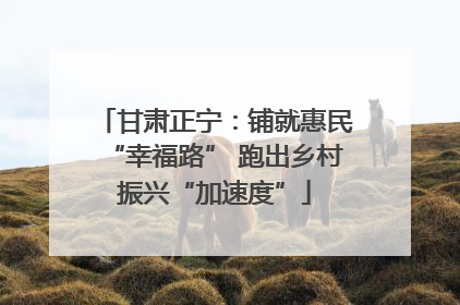 甘肃正宁：铺就惠民“幸福路” 跑出乡村振兴“加速度”