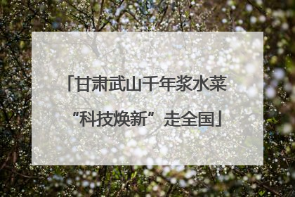 甘肃武山千年浆水菜“科技焕新”走全国