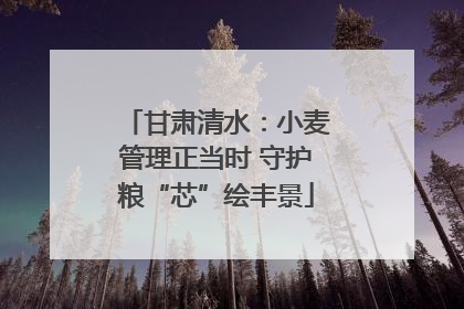 甘肃清水：小麦管理正当时 守护粮“芯”绘丰景