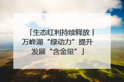 生态红利持续释放丨万峰湖“绿动力”提升发展“含金量”