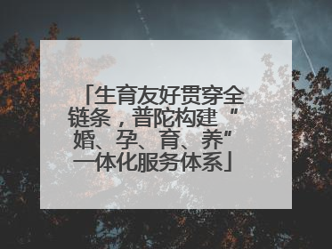 生育友好贯穿全链条，普陀构建“婚、孕、育、养”一体化服务体系