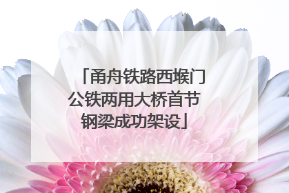 甬舟铁路西堠门公铁两用大桥首节钢梁成功架设