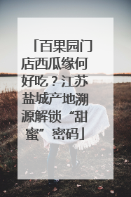 百果园门店西瓜缘何好吃？江苏盐城产地溯源解锁“甜蜜”密码