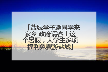 盐城学子邀同学来家乡 政府请客！这个暑假，大学生多项福利免费游盐城