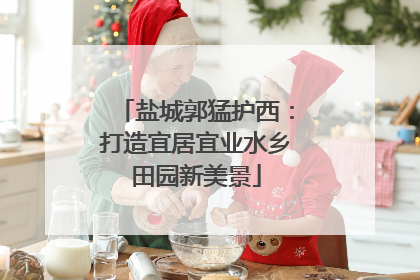 盐城郭猛护西：打造宜居宜业水乡田园新美景
