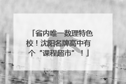省内唯一数理特色校！沈阳名牌高中有个“课程超市”！