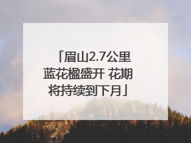 眉山2.7公里蓝花楹盛开 花期将持续到下月