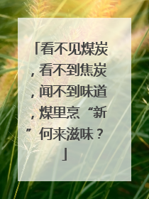 看不见煤炭，看不到焦炭，闻不到味道，煤里烹“新”何来滋味？