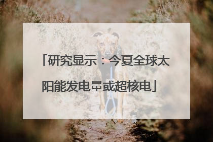 研究显示：今夏全球太阳能发电量或超核电