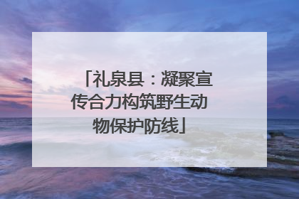 礼泉县：凝聚宣传合力构筑野生动物保护防线