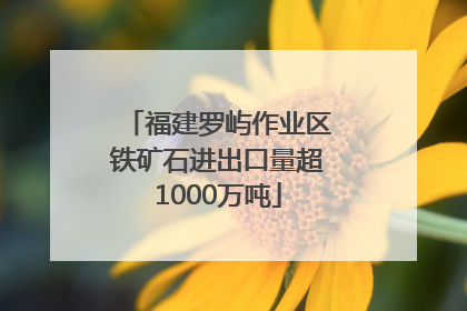 福建罗屿作业区铁矿石进出口量超1000万吨