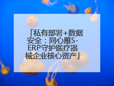私有部署+数据安全：同心雁S-ERP守护医疗器械企业核心资产