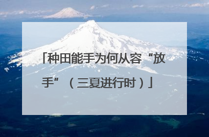 种田能手为何从容“放手”（三夏进行时）