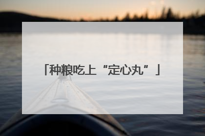 种粮吃上“定心丸”