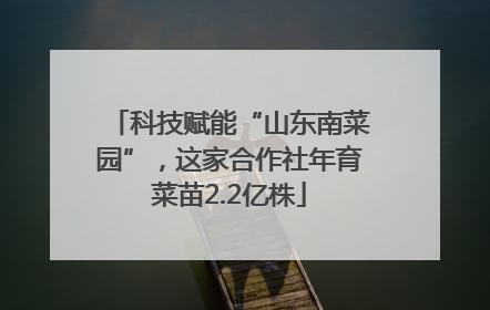 科技赋能“山东南菜园”，这家合作社年育菜苗2.2亿株