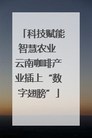 科技赋能智慧农业 云南咖啡产业插上“数字翅膀”