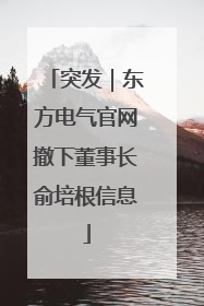 突发｜东方电气官网撤下董事长俞培根信息