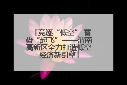 竞逐“低空” 蓄势“起飞”——渭南高新区全力打造低空经济新引擎