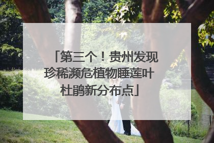 第三个！贵州发现珍稀濒危植物睡莲叶杜鹃新分布点