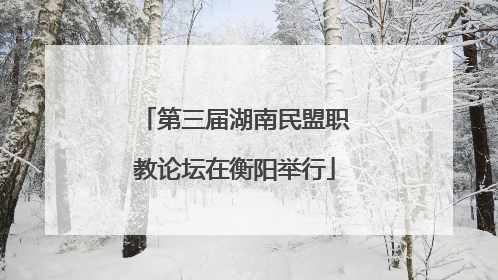 第三届湖南民盟职教论坛在衡阳举行