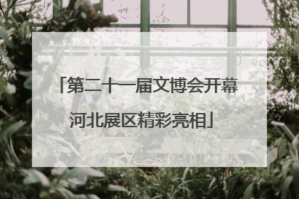 第二十一届文博会开幕 河北展区精彩亮相
