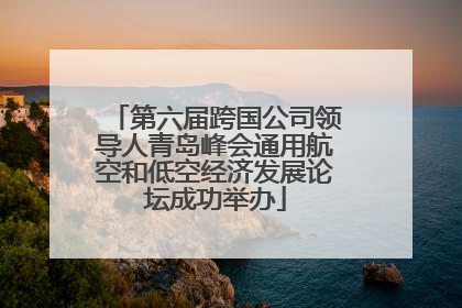 第六届跨国公司领导人青岛峰会通用航空和低空经济发展论坛成功举办